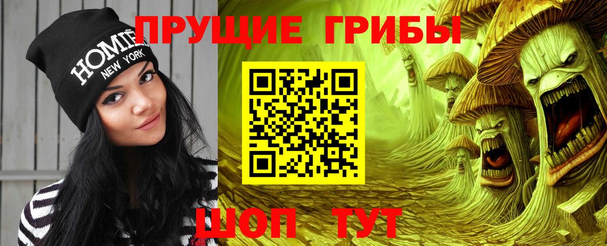 Новоалександровск  Псилоцибиновые грибы прущие грибы  купить наркотики цена  Вход с VPN 