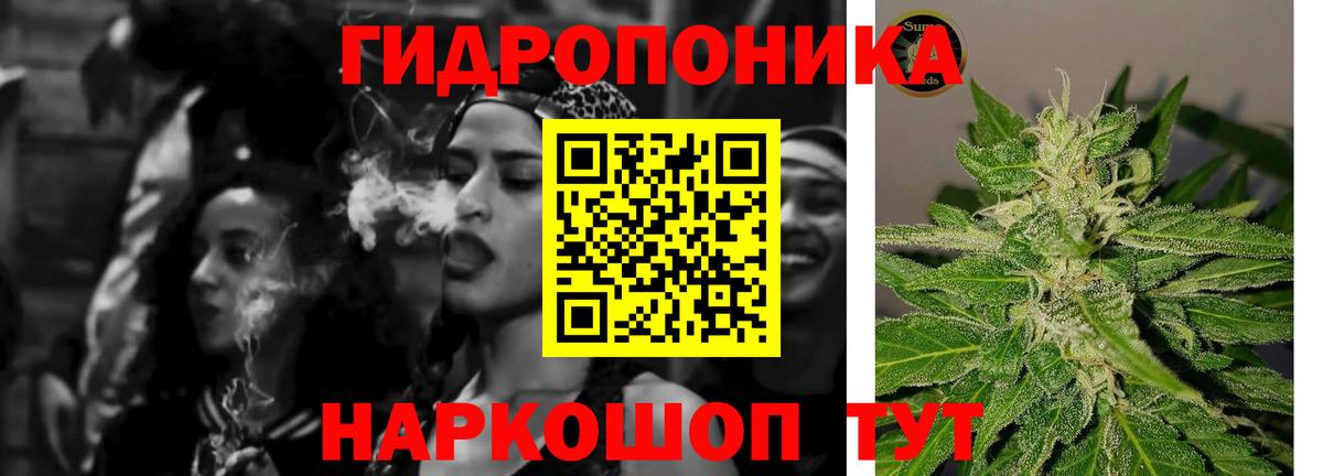 МАРИХУАНА сатива  Вход с VPN  Конопля конопля  Новоалександровск  МАРИХУАНА LSD WEED 
